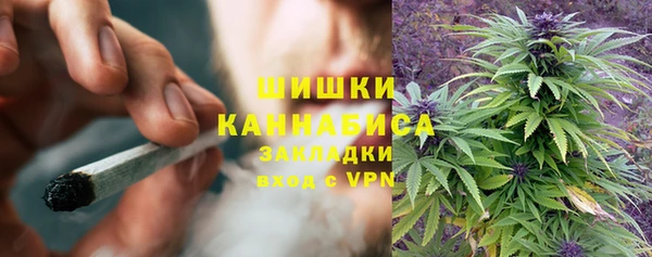 сатива Михайловка